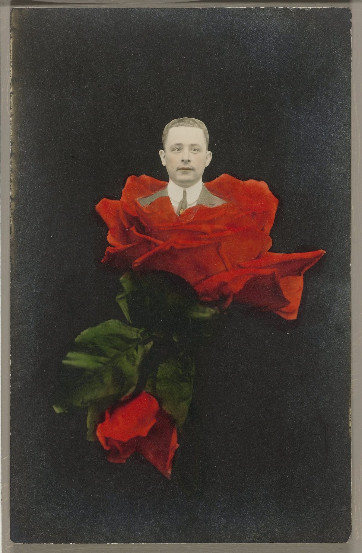 Роза с торчащей мужской головой, США, 1907-1930