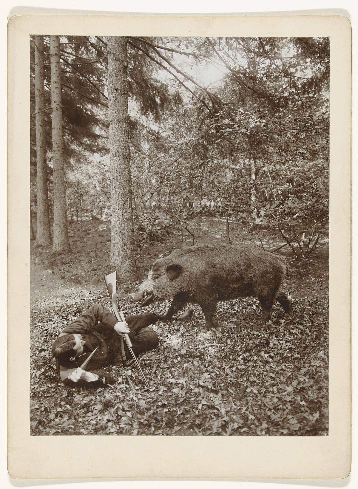 Мужчина защищается от нападающего (чучела) кабана, Нидерланды, 1898