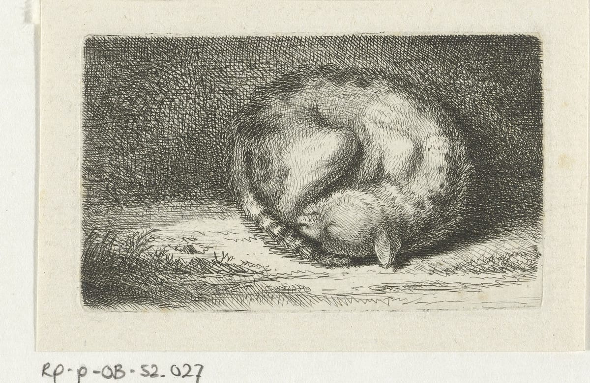 Спящий кот, 1702-1767