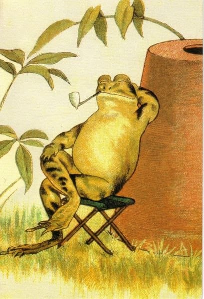 It is Wednesday, my dudes 🐸