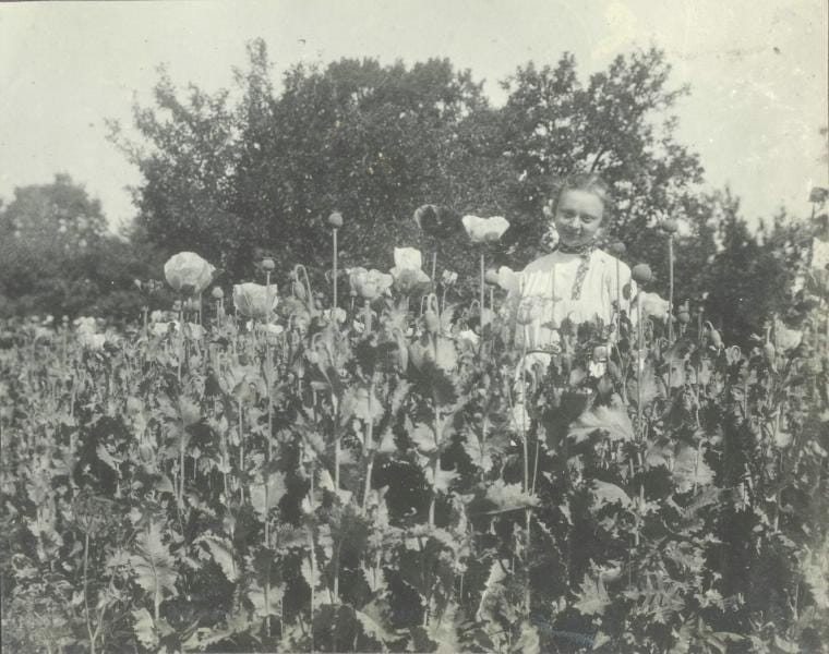 Портрет девушки, 1920-е