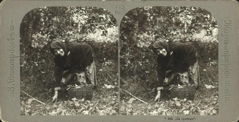 За грибами, 1909-1913