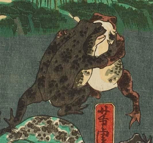 It is Wednesday, my dudes 🐸