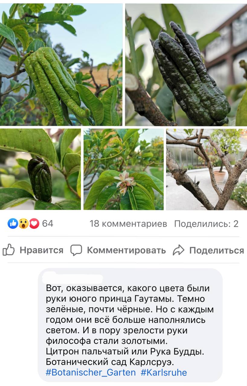 Неожиданно