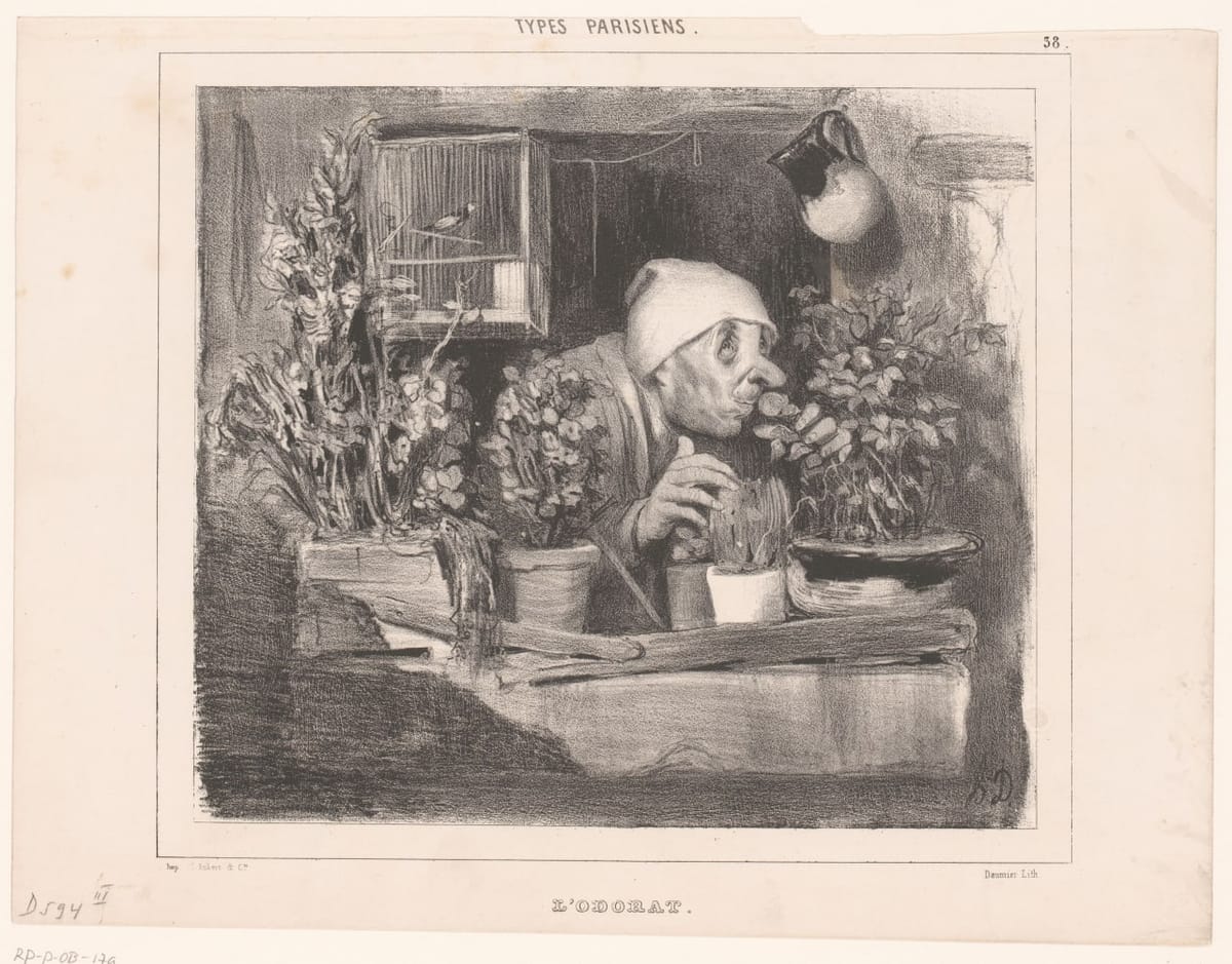 Старик нюхает розу на своем балконе, Оноре Домье, Париж, 1843