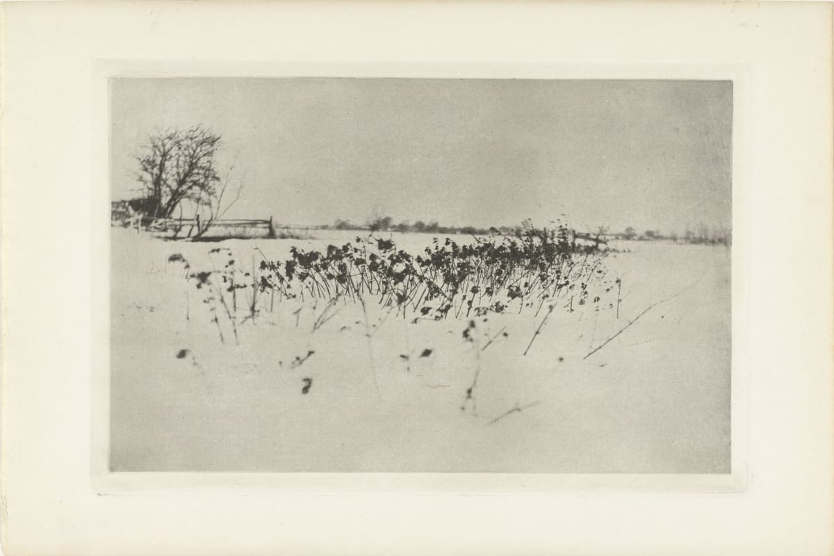 Снежный пейзаж в Британии, Питер Генри Эмерсон, 1890 - 1895