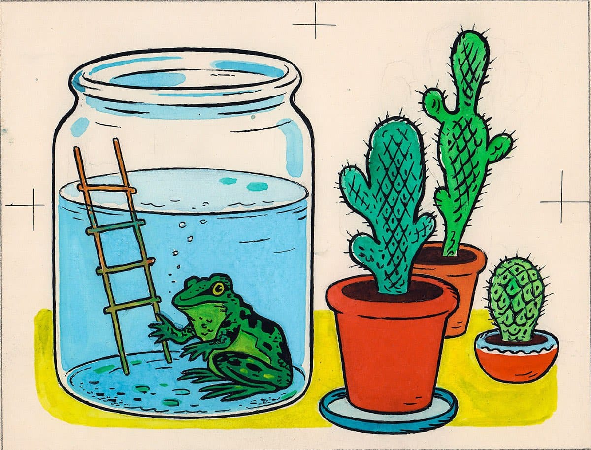 It is Wednesday, my dudes 🐸