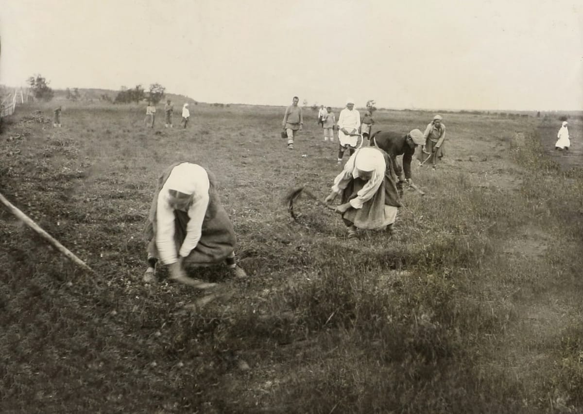 Сенокос в Юринском колхозе, 24 июля 1931