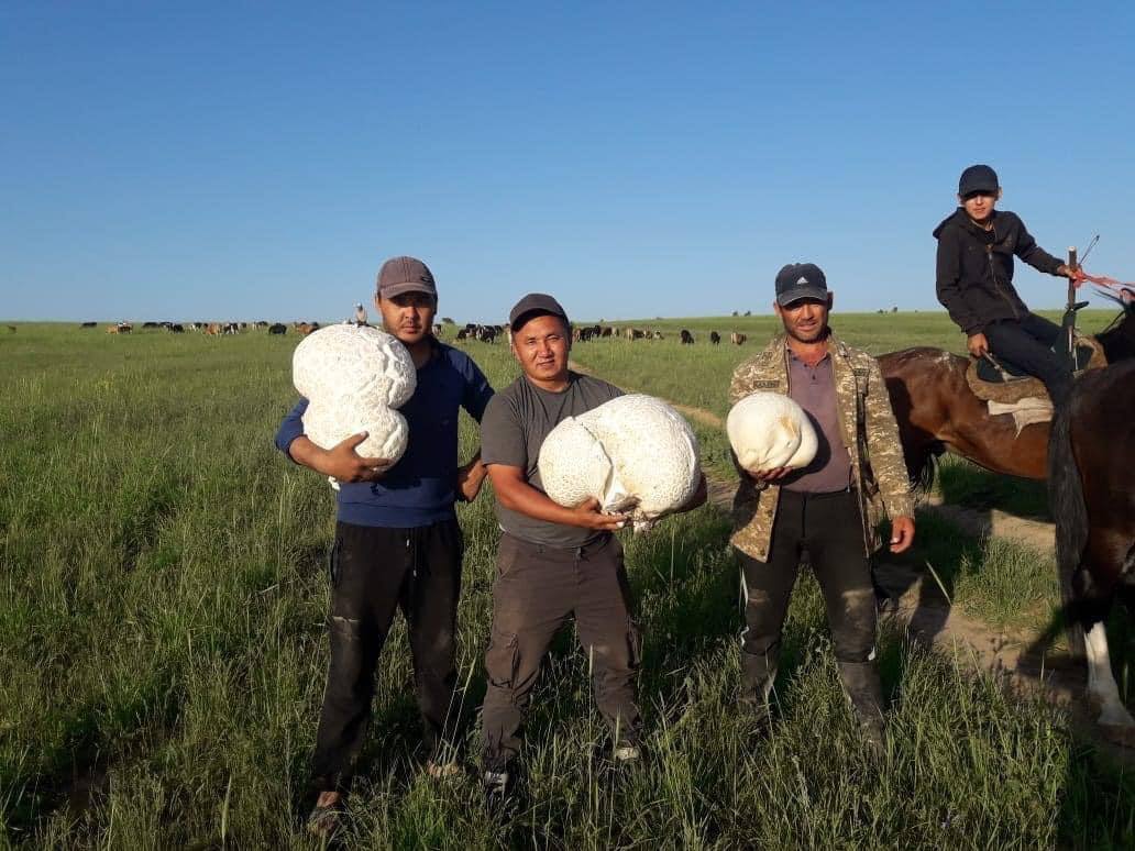 Туркестанская губерния