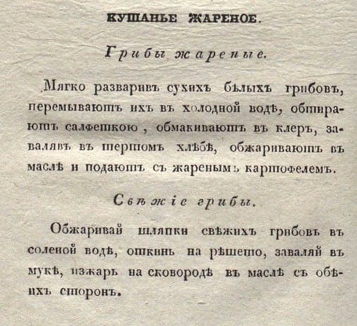 Практическій хозяинъ