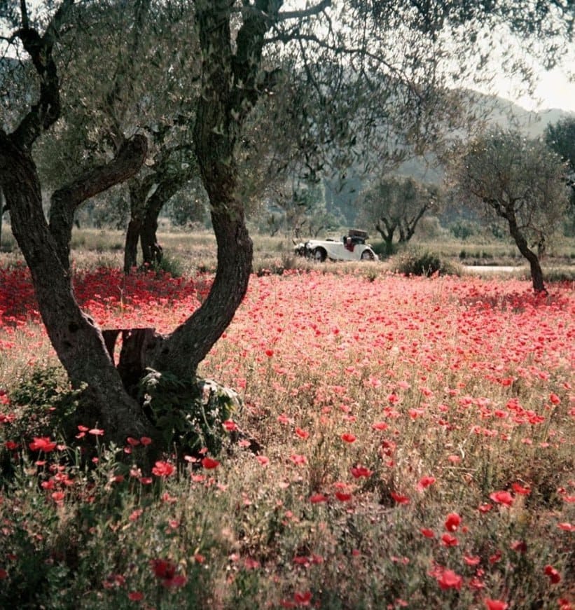 Жак-Анри Лартиг
