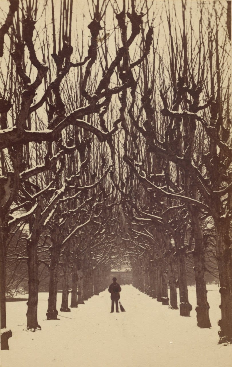 Аллея, Тринити-колледж, Дублин, 1866