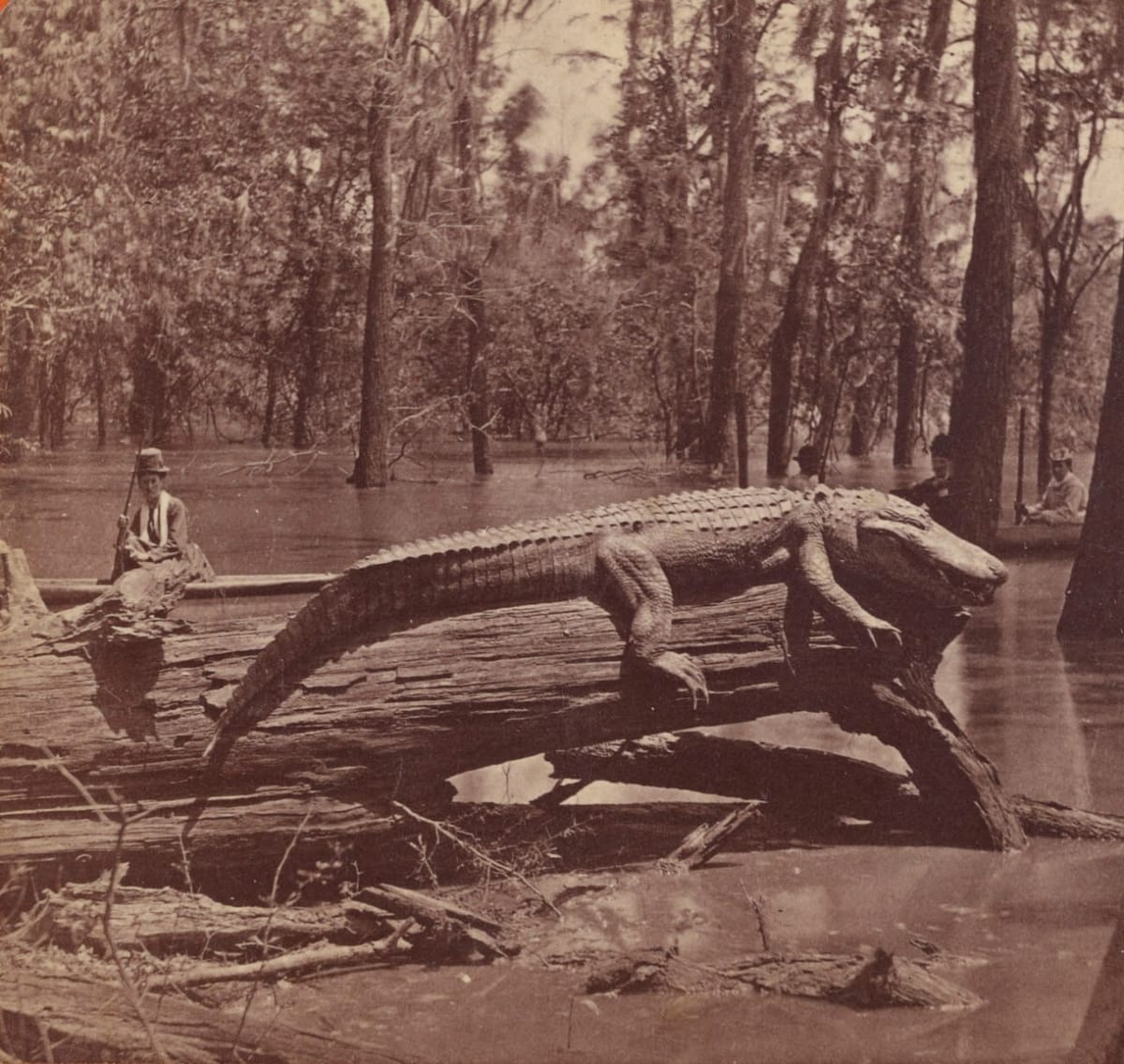 Луизиана, 1870-е