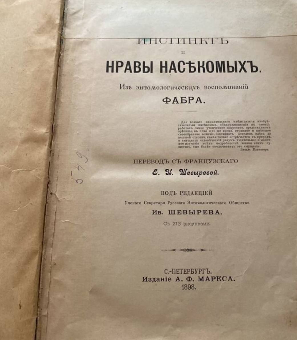 Даже у насекомых есть нравы