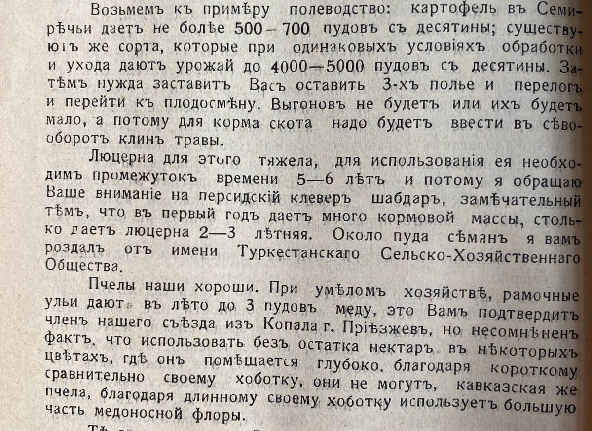 Картофель, пчелы и люцерна в Семиречье по состоянию на 1909 год