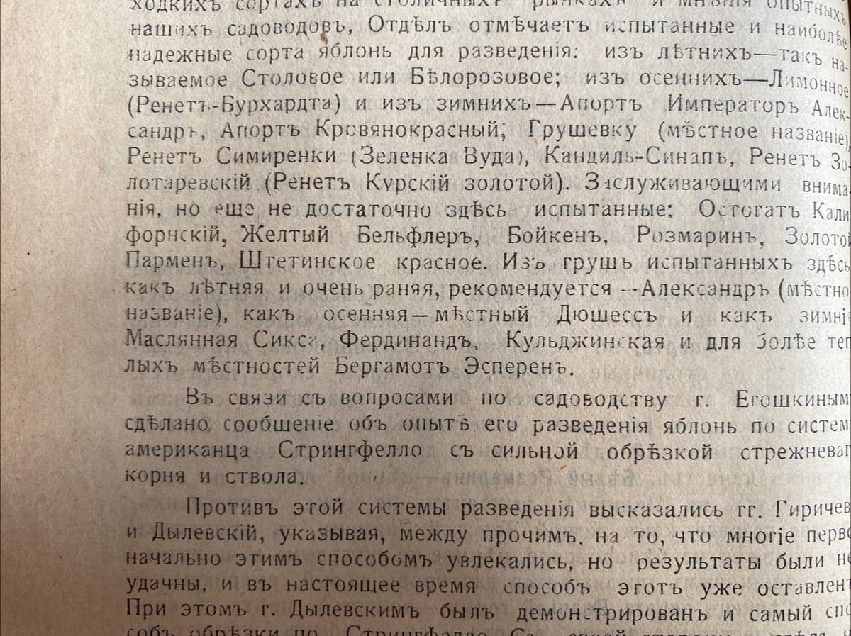 Кто-то ошибочно полагает, что алма-атинский апорт это исконный сорт яблок в Заилийском Алатау