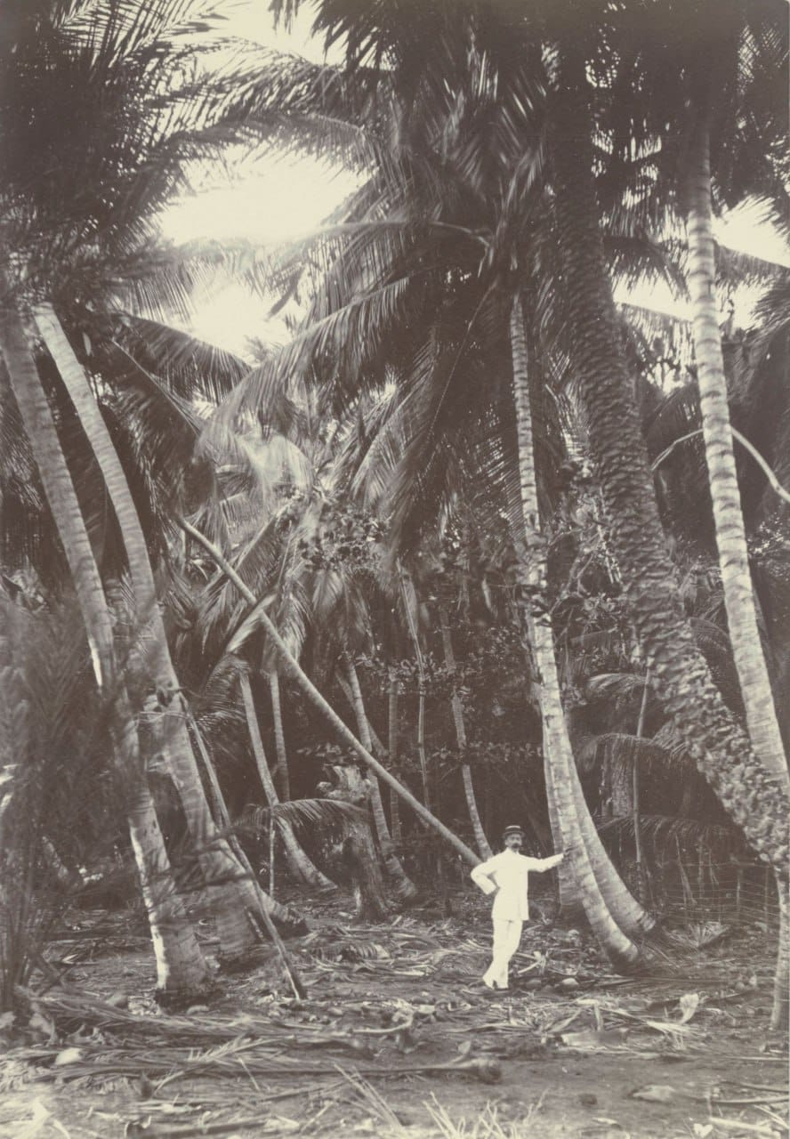 Фотографии семьи Бум-Гонггрейп из поездки в Суринам и Кюрасао, 1897 - 1914 гг