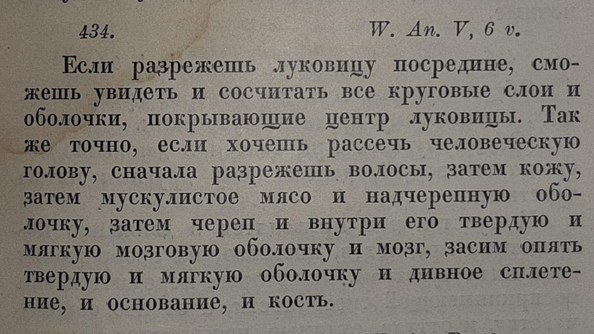Из книги Леонардо да Винчи