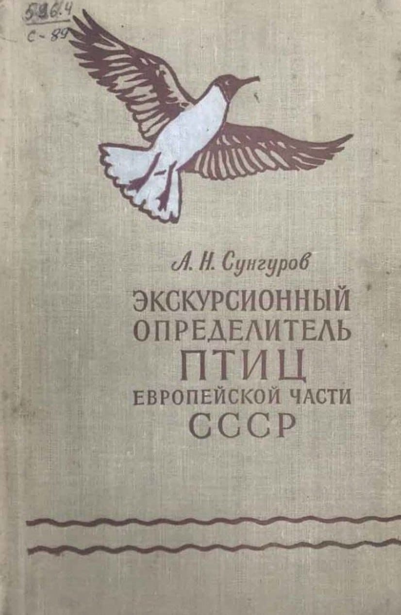 Задолго до бердвотчинга