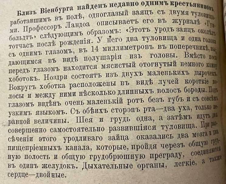 Вместо новостей геополитических предлагаем действительно захватывающую заметку из выпуска «Нивы» конца XIX века об одноглазом зайце с двумя туловищами: