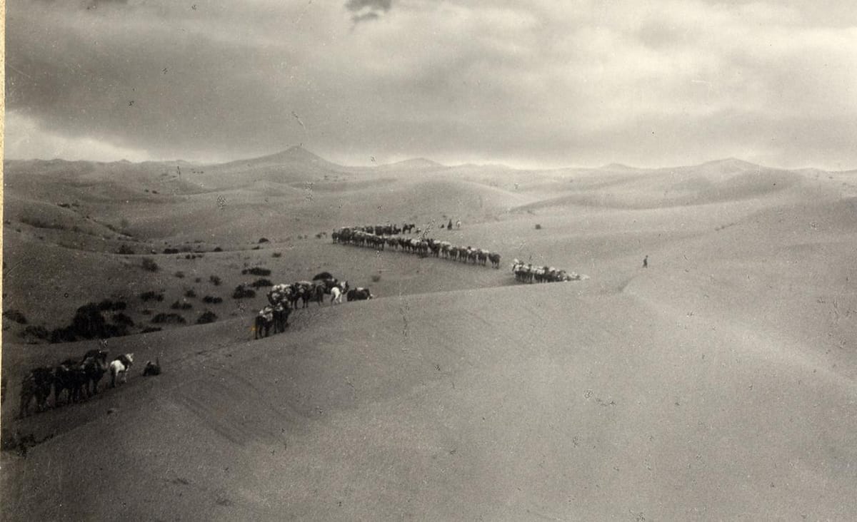 С 18 июля в «Новой Третьяковке» пройдет фотовыставка «Самая красивая страна», организованная Русским географическим обществом (РГО)