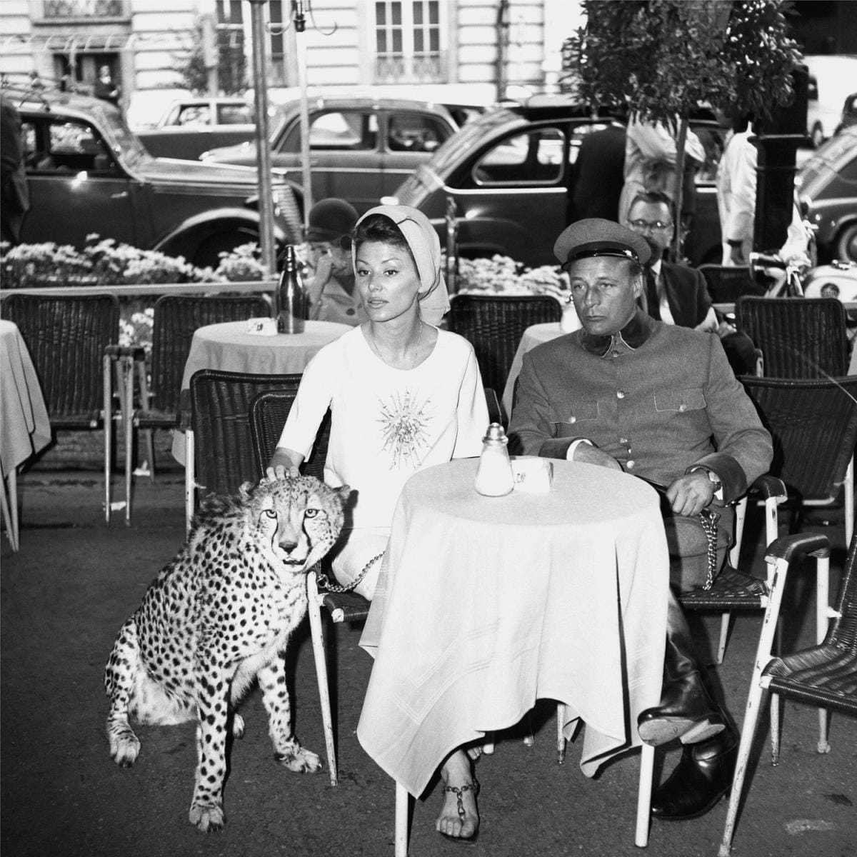 Актриса Ирина Демик с шофером Ником и гепардом в кафе на виа Венето в Риме, 1963 год