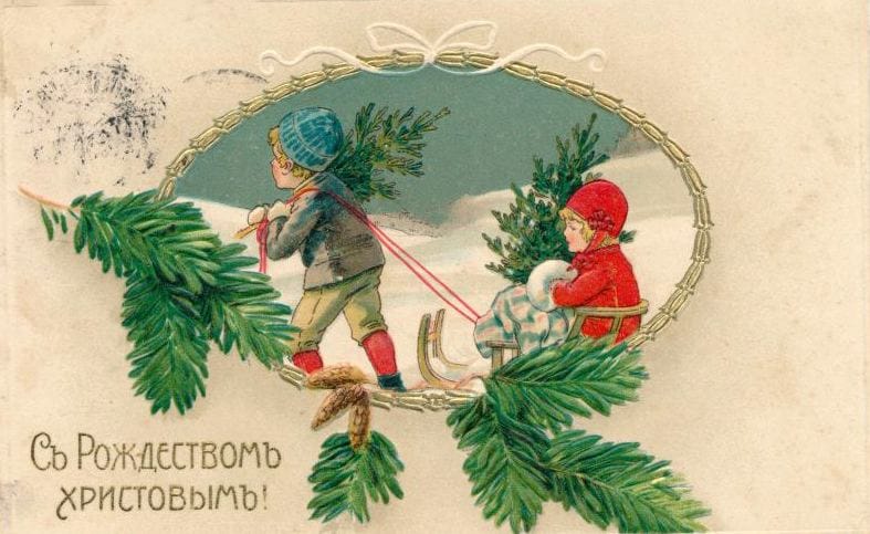 Вы уже выкинули елку или убрали ее на балкон?