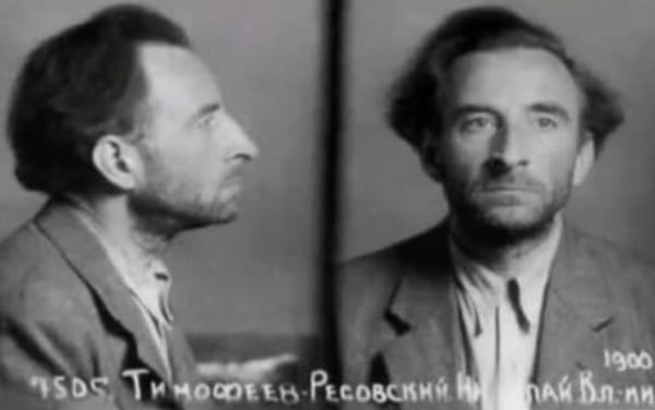Николай Тимофеев-Ресовский в Германии, гибель сына и приговор после войны