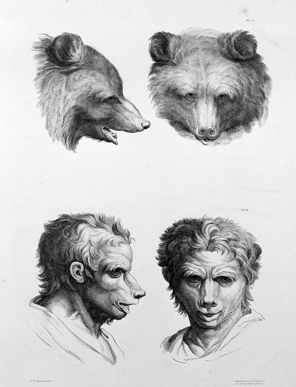 Страшные физиогномические картинки