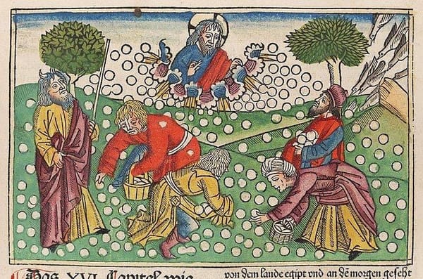 Антон Кобергер, Манна небесная, 1483 год