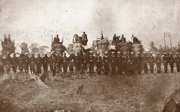 Сиамская армия с боевыми слонами в 1875 году