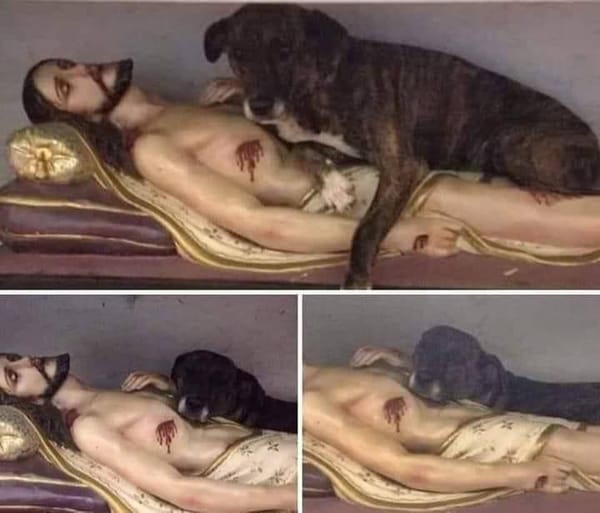 Три снимка полихромной фигуры лежащего Христа с ранами, на которой устроилась тёмная пёстрая собака.