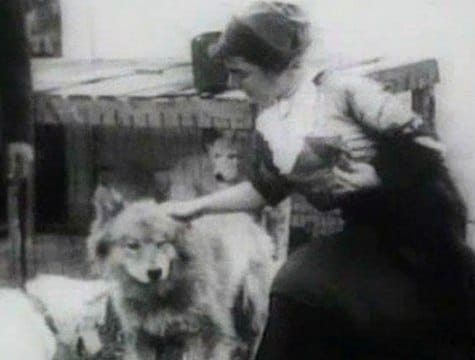 Легенда о псе Фраме и судьба собак экспедиции Георгия Седова к Северному полюсу