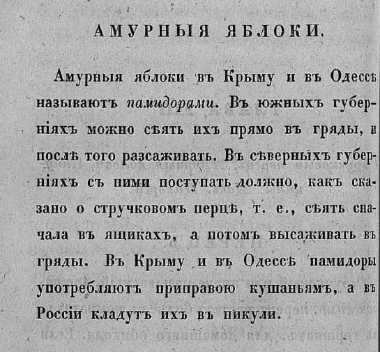 Томаты в России и Европе XVIII века как любовные яблоки и декоративная культура