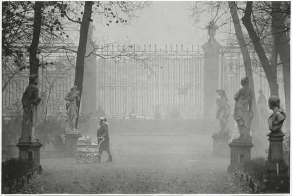 Летний сад осенью, Санкт-Петербург, фото Всеволода Тарасевича, 1965 год