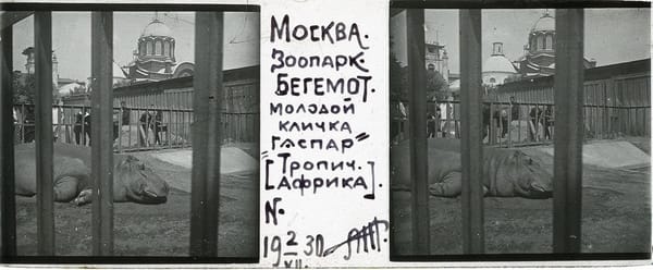 Гаспар, но не Ноэ