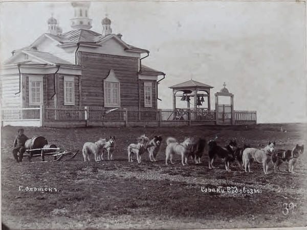 Собаки водовозы перед Церковью Спаса Преображения в городе Охотске, 1880-е годы