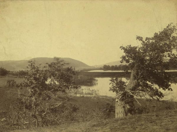 Жигулевские горы на Волге в 1880-1890-ее годы