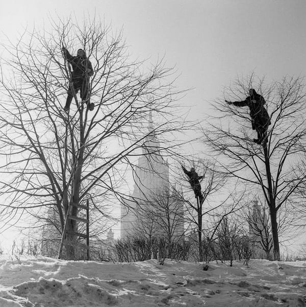 Весна в парке МГУ, 1960-е годы