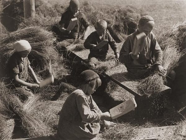 Заготовка семян льна в Кимрах в 1930-е, фото Леонида Шокина