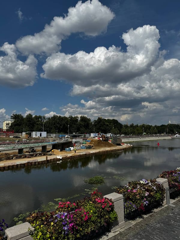 Широкая река с отражением облаков, на дальнем берегу строительная техника и песок. На переднем плане гранитный парапет с клумбами петуний, вдали деревья.
