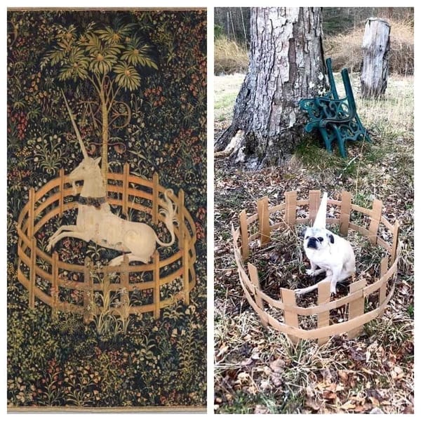 Это лучшее