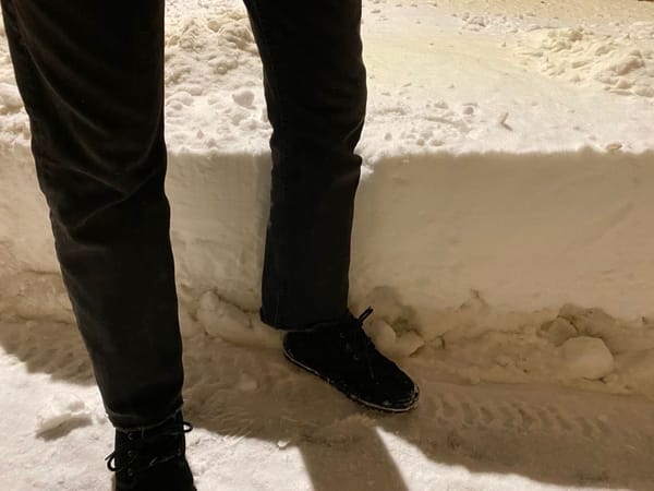 Хочу этой фоткой сообщить всем, кого тоже занесло метелями и побило морозами, что в феврале 1957 года снега было значительно больше