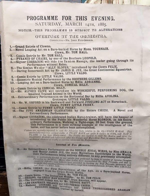 Почитайте 17 пункт цирковой программы 1885 года