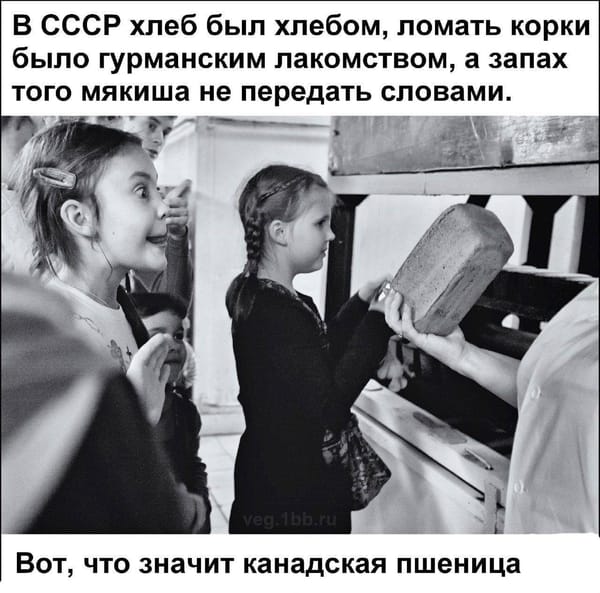 Если всерьез говорить по поводу мема «в СССР хлеб был хлебом, корки были вкусные, а мякиш неземной, вот что значит канадская пшеница», то закупки пшеницы у западных стран Советский союз начал еще в 1963 году, этот год назвали годом…