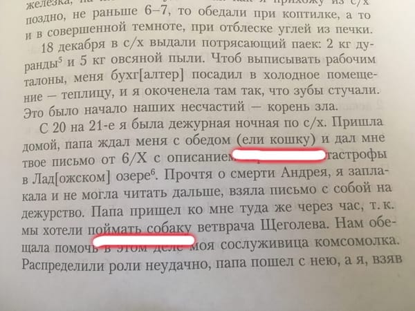 Собаку в итоге не поймали