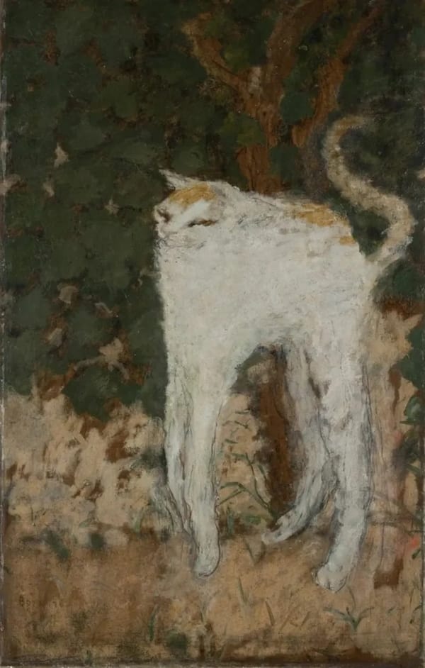 Белая кошка