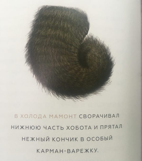 Нашел очень интересную и милую книгу "Древние чудовища России", а там - жизненно важная информация о мамонтах