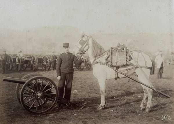 Лошади на службе французской армии, 1890-е годы: не только тягловые животные для разного вида пушек, но и лошади со сбруей, оборудованной огнестрельным оружием