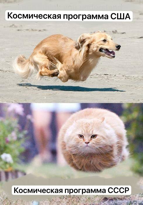 А вы в чьей команде?